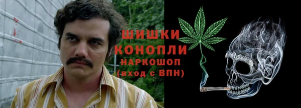 молекула духа Алексин